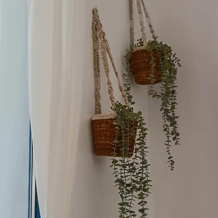 Diana Hats 1b, Pool, Center Daire *