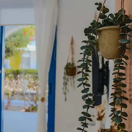 Daire Diana Hats 1b, Pool, Center Pafos